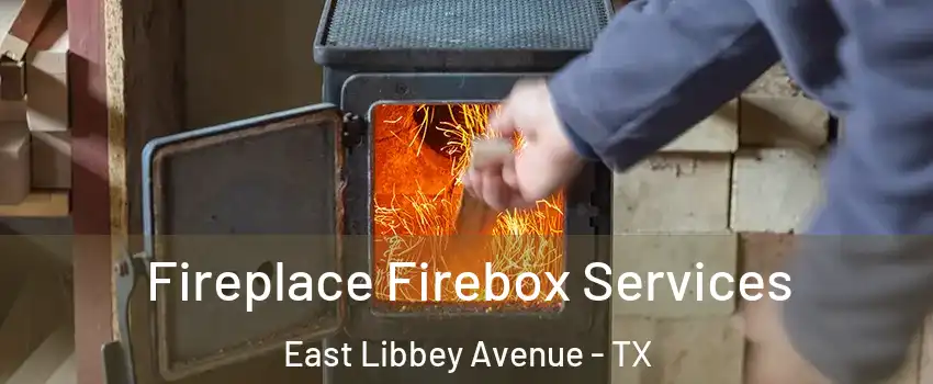 Fireplace Firebox Services East Libbey Avenue - TX