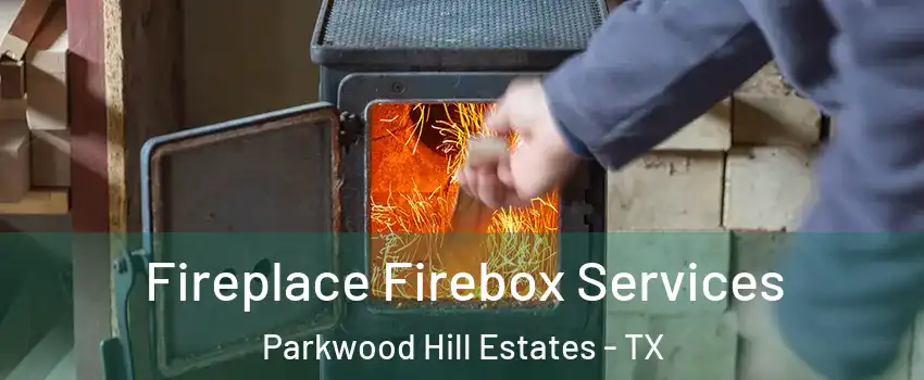 Fireplace Firebox Services Parkwood Hill Estates - TX