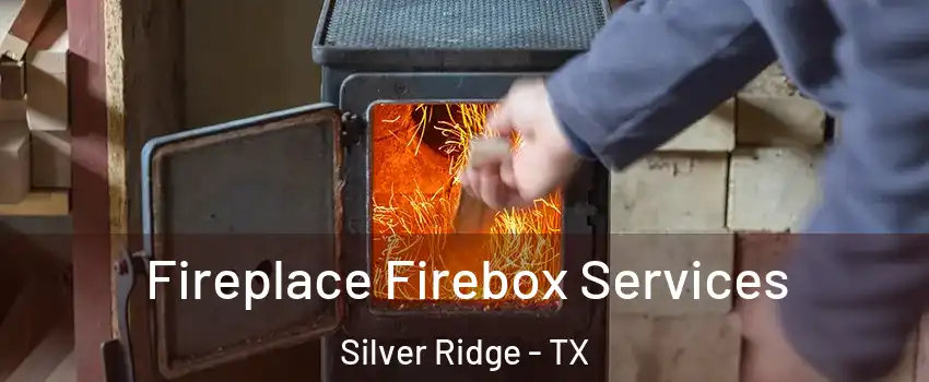 Fireplace Firebox Services Silver Ridge - TX