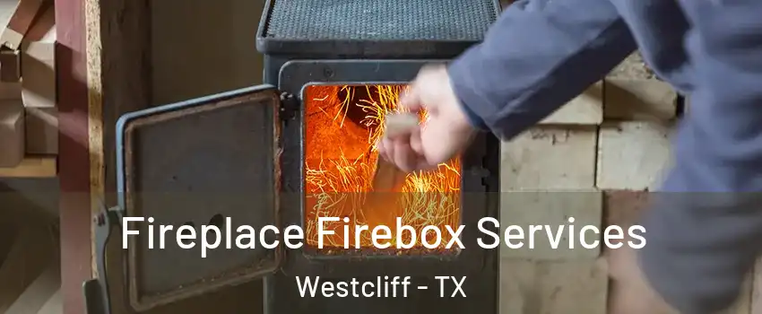 Fireplace Firebox Services Westcliff - TX