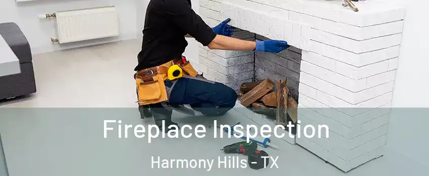 Fireplace Inspection Harmony Hills - TX