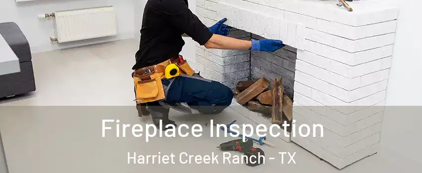 Fireplace Inspection Harriet Creek Ranch - TX