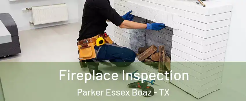 Fireplace Inspection Parker Essex Boaz - TX