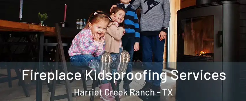 Fireplace Kidsproofing Services Harriet Creek Ranch - TX