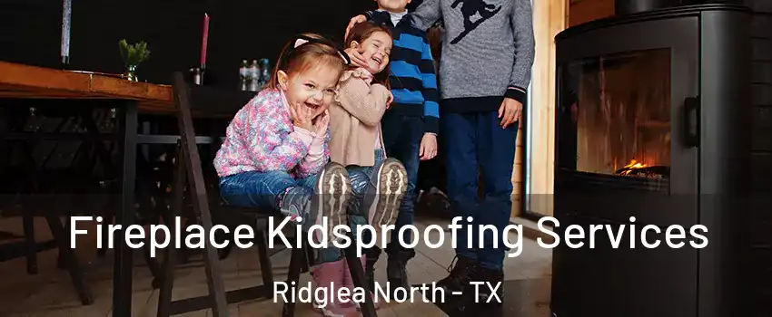 Fireplace Kidsproofing Services Ridglea North - TX