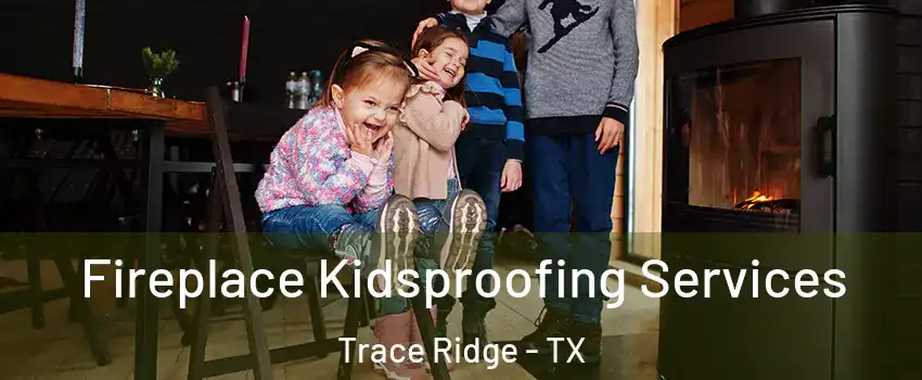 Fireplace Kidsproofing Services Trace Ridge - TX