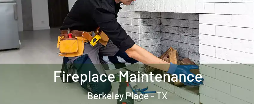 Fireplace Maintenance Berkeley Place - TX