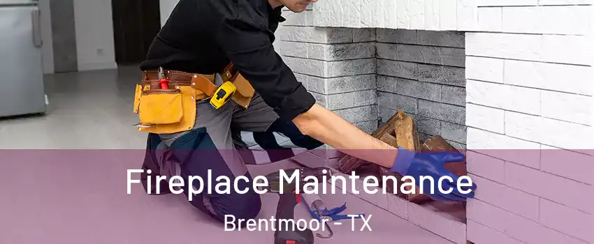 Fireplace Maintenance Brentmoor - TX