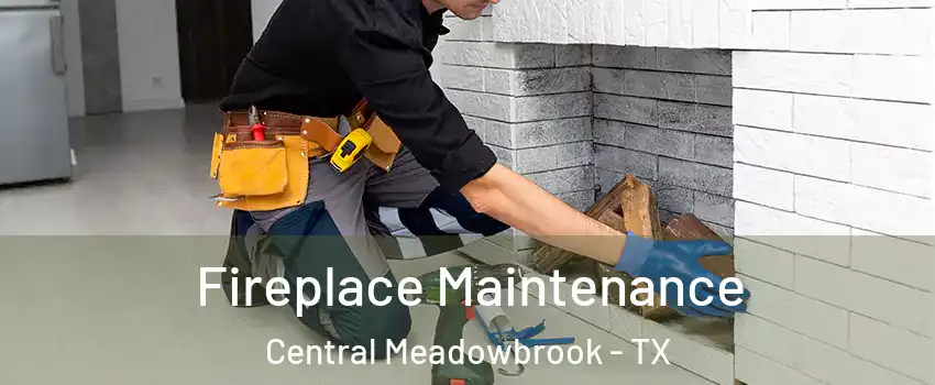 Fireplace Maintenance Central Meadowbrook - TX
