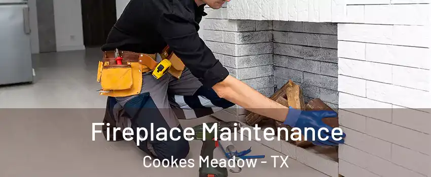 Fireplace Maintenance Cookes Meadow - TX