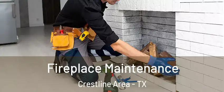 Fireplace Maintenance Crestline Area - TX