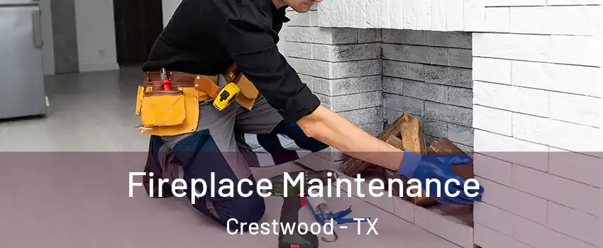 Fireplace Maintenance Crestwood - TX