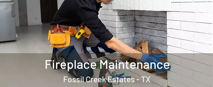 Fireplace Maintenance Fossil Creek Estates - TX
