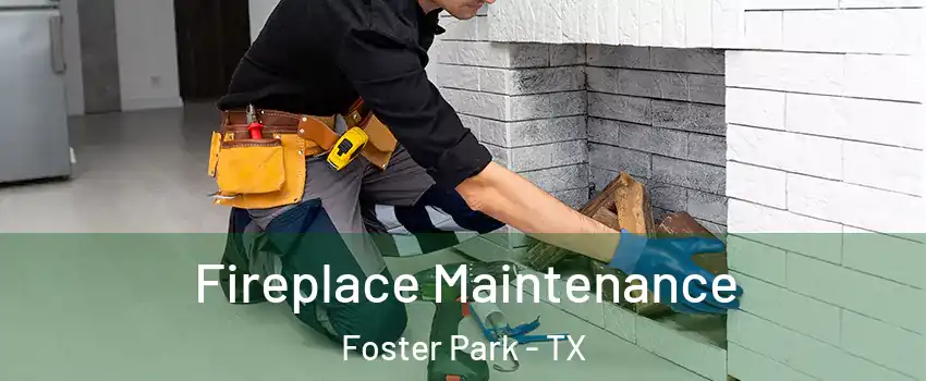 Fireplace Maintenance Foster Park - TX