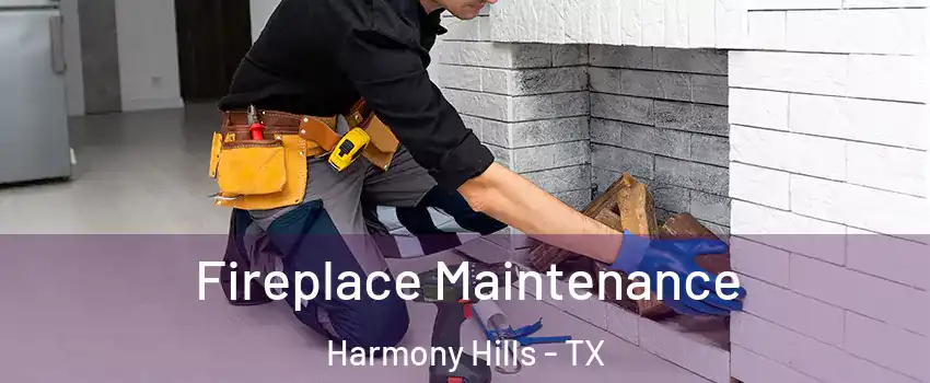 Fireplace Maintenance Harmony Hills - TX