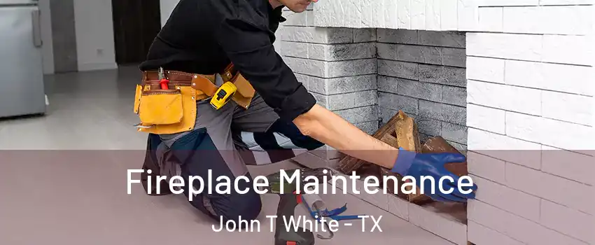 Fireplace Maintenance John T White - TX