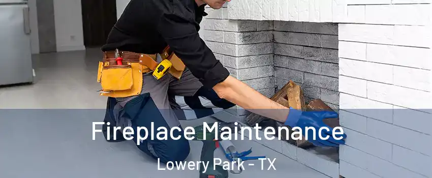 Fireplace Maintenance Lowery Park - TX