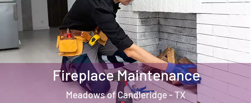 Fireplace Maintenance Meadows of Candleridge - TX