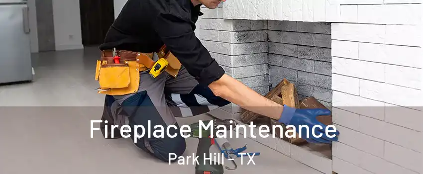 Fireplace Maintenance Park Hill - TX