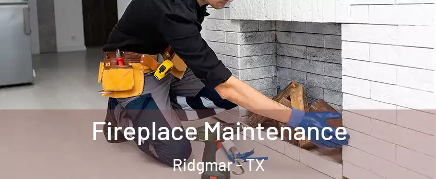 Fireplace Maintenance Ridgmar - TX