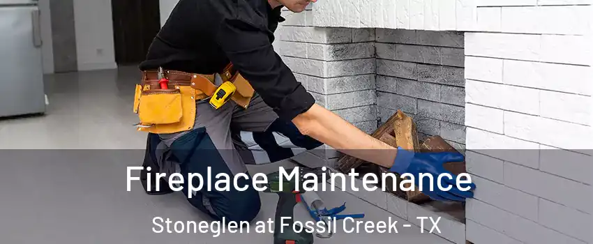 Fireplace Maintenance Stoneglen at Fossil Creek - TX