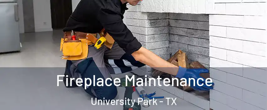 Fireplace Maintenance University Park - TX