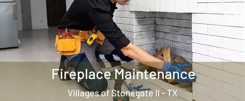 Fireplace Maintenance Villages of Stonegate II - TX