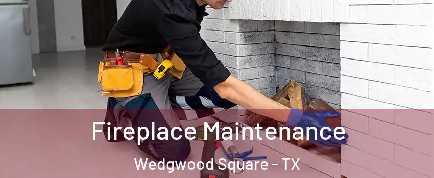 Fireplace Maintenance Wedgwood Square - TX