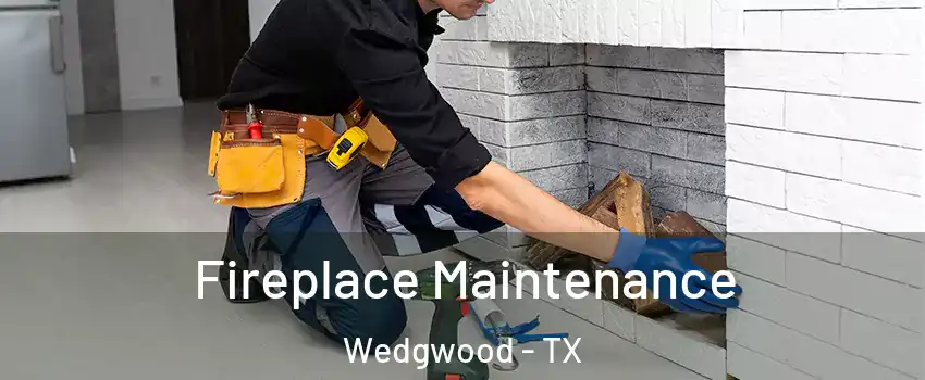 Fireplace Maintenance Wedgwood - TX