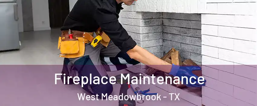 Fireplace Maintenance West Meadowbrook - TX