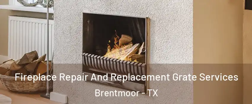 Fireplace Repair And Replacement Grate Services Brentmoor - TX
