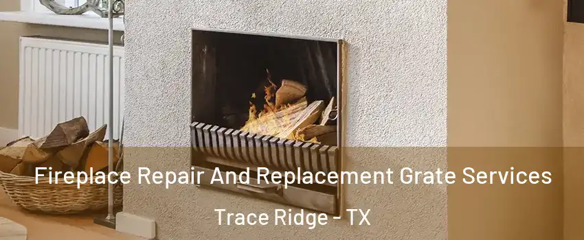 Fireplace Repair And Replacement Grate Services Trace Ridge - TX