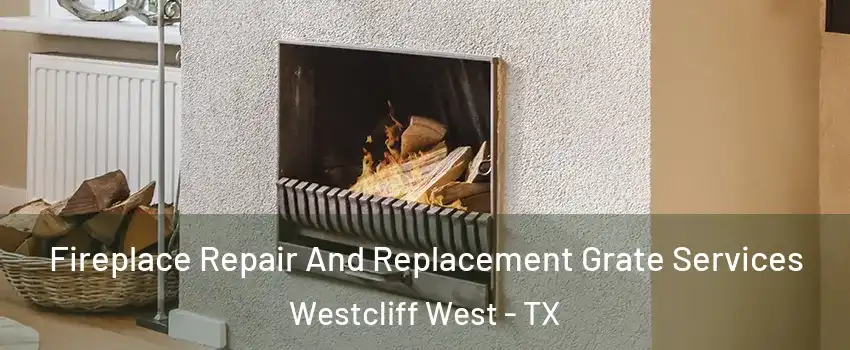 Fireplace Repair And Replacement Grate Services Westcliff West - TX