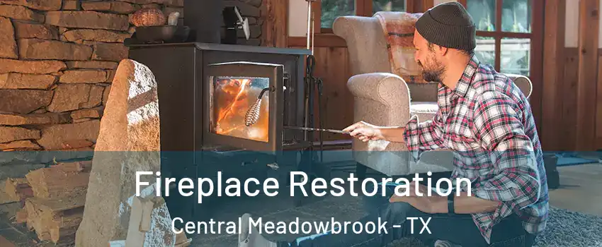 Fireplace Restoration Central Meadowbrook - TX