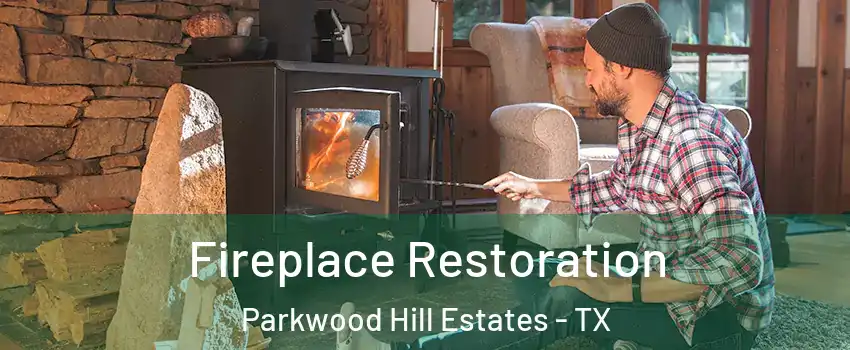 Fireplace Restoration Parkwood Hill Estates - TX