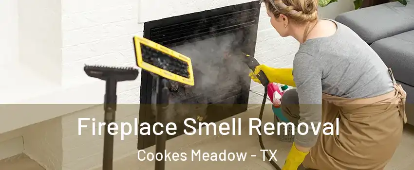 Fireplace Smell Removal Cookes Meadow - TX