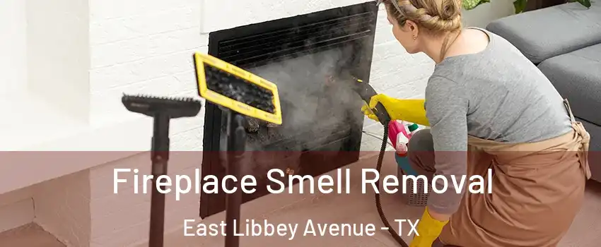 Fireplace Smell Removal East Libbey Avenue - TX
