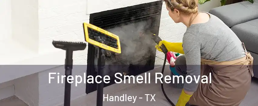Fireplace Smell Removal Handley - TX