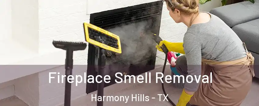 Fireplace Smell Removal Harmony Hills - TX