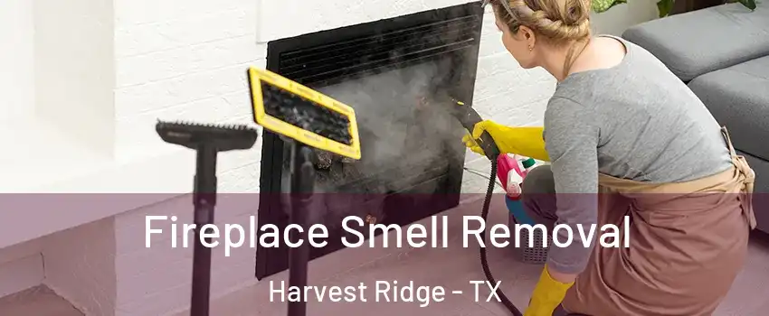 Fireplace Smell Removal Harvest Ridge - TX
