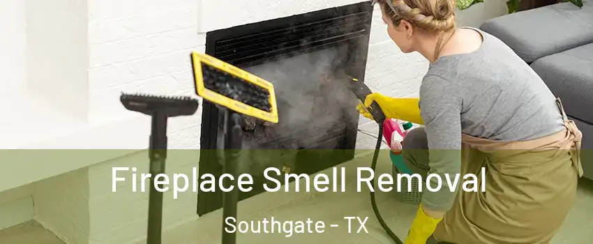 Fireplace Smell Removal Southgate - TX