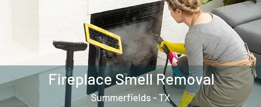 Fireplace Smell Removal Summerfields - TX