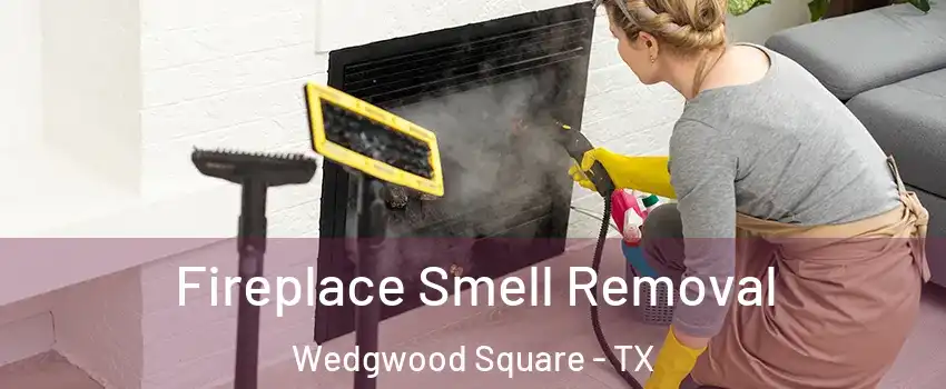 Fireplace Smell Removal Wedgwood Square - TX