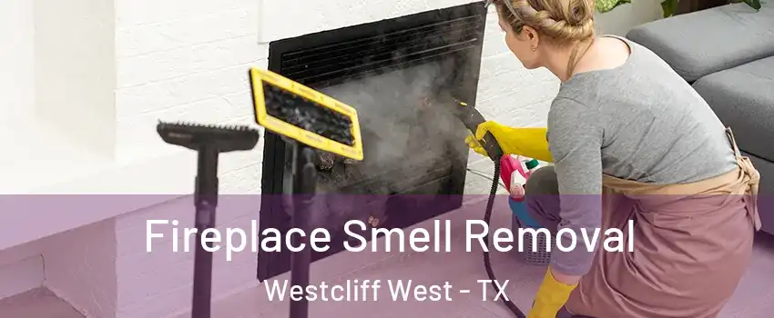 Fireplace Smell Removal Westcliff West - TX