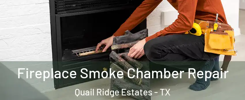 Fireplace Smoke Chamber Repair Quail Ridge Estates - TX