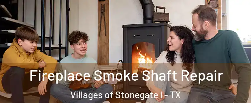 Fireplace Smoke Shaft Repair Villages of Stonegate I - TX