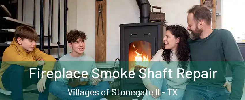 Fireplace Smoke Shaft Repair Villages of Stonegate II - TX