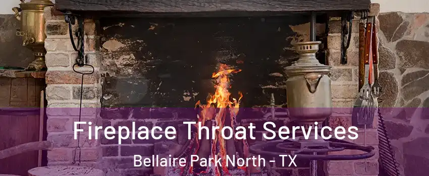 Fireplace Throat Services Bellaire Park North - TX