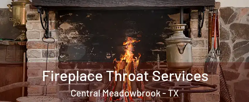 Fireplace Throat Services Central Meadowbrook - TX