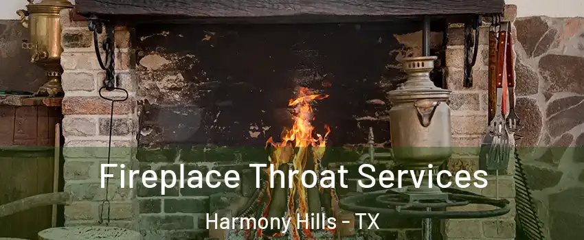 Fireplace Throat Services Harmony Hills - TX